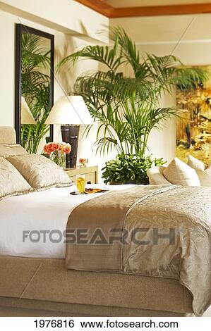 Hawaii, Luxury Interior Bedroom With Breakfast Tray. View Large Photo Image Stock Photograph - Hawaii, Luxury Interior Bedroom With Breakfast Tray.. Fotosearch