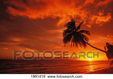 Stock Photo - Hawaii, Maui, A Beautiful Sunset At Olowalu. Fotosearch