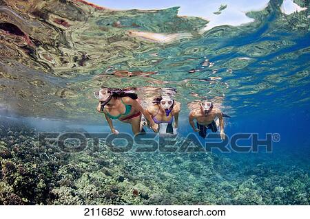 Stock Image - Hawaii, Maui, A group of young adults free diving off Molokini Marine Reserve.. Fotosearch