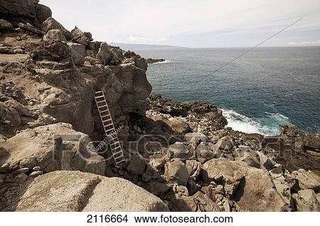 Picture - Hawaii, Maui, A ladder on Mauis rocky west side coast.. Fotosearch