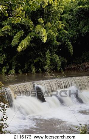Hawaii, Maui, A lush waterfall among bamboo. View Large Photo Image Stock Image - Hawaii, Maui, A lush waterfall among bamboo.. Fotosearch