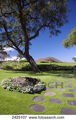 Hawaii, Maui, a stone walkway at Makena Beach Resort View Large Photo Image Stock Photo - Hawaii, Maui, a stone walkway at Makena Beach Resort. Fotosearch