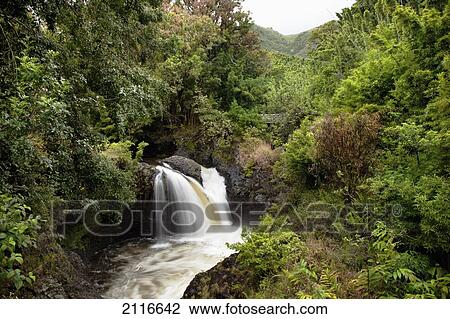 Stock Image - Hawaii, Maui, A waterfall in Kipahulu with lush foliage.. Fotosearch