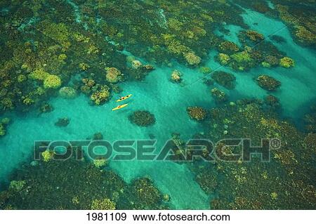 Stock Photo - Hawaii, Maui, Aerial Of Two Kayakers On Ocean Over Beautiful Coral Formations Off Olowalu.. Fotosearch