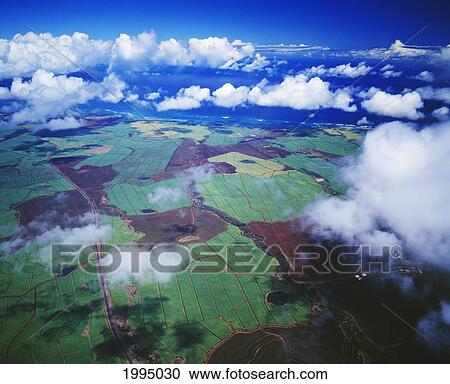 Stock Image - Hawaii, Maui, Aerial View Of Sugarcane Fields In Central Maui.. Fotosearch
