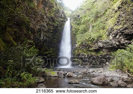Hawaii, Maui, Alalele Falls on the Road to Hana. View Large Photo Image Stock Photography - Hawaii, Maui, Alalele Falls on the Road to Hana.. Fotosearch