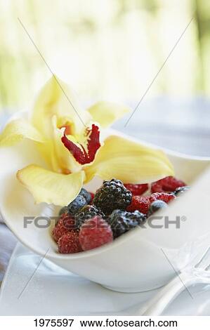 Stock Photo - Hawaii, Maui, Balcony, Breakfast Fresh Fruit Bowl With Orchid Garnish.. Fotosearch