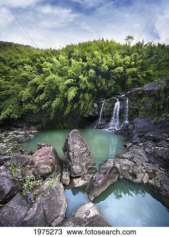 Stock Image - Hawaii, Maui, Bamboo Forest Also Called The Four Falls Of Na'ili'ili-Haele, Shot Of The First Falls.. Fotosearch