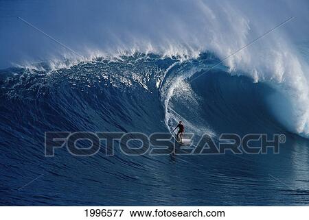 Stock Photo - Hawaii, Maui, Buzzy Kerbox Surf Curling Wave At Jaws Aka Peahi, Curling Wave. Fotosearch