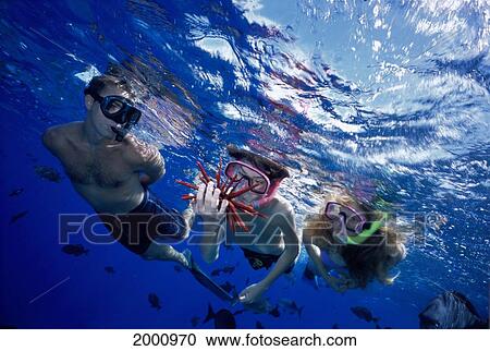 Stock Image - Hawaii, Maui, Close-Up Family Snorkeling At Surface, Boy Holds Pencil Urchin Reflections. Fotosearch