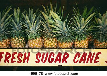 Stock Photo - Hawaii, Maui, Close-Up Of Pineapple At Fruit Stand On Hana Highway.. Fotosearch