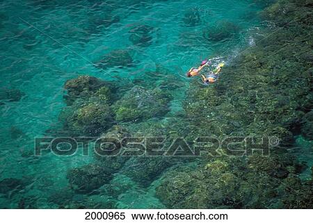 Stock Photography - Hawaii, Maui, Couple Snorkeling Over Reef Distant View, Surface. Fotosearch