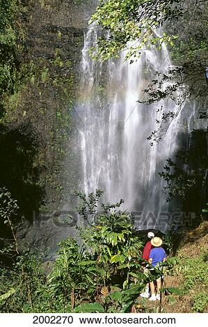 Hawaii, Maui, Couple Stand At Base Of Waterfall, Trees, Cascading Water View Large Photo Image Stock Image - Hawaii, Maui, Couple Stand At Base Of Waterfall, Trees, Cascading Water. Fotosearch