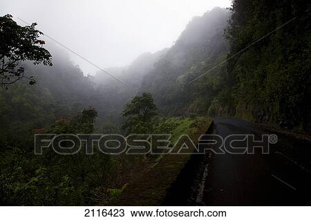 Hawaii, Maui, Foggy scene from the road to Hana. View Large Photo Image Stock Image - Hawaii, Maui, Foggy scene from the road to Hana.. Fotosearch