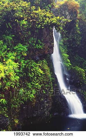 Hawaii, Maui, Foliage And Waterfall Along Hana Highway View Large Photo Image Stock Image - Hawaii, Maui, Foliage And Waterfall Along Hana Highway. Fotosearch