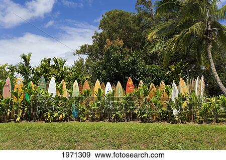 Stock Photo - Hawaii, Maui, Haiku, Surfboard Fence At Private Residence.. Fotosearch