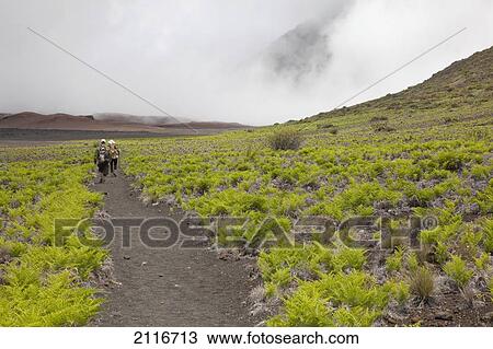 Stock Image - Hawaii, Maui, Haleakala Crater, A couple of hikers trekking through the crater.. Fotosearch
