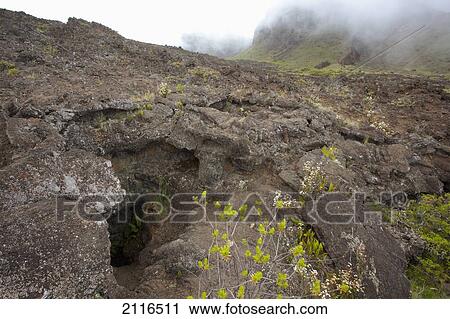 Stock Image - Hawaii, Maui, Haleakala, Lava Tube.. Fotosearch