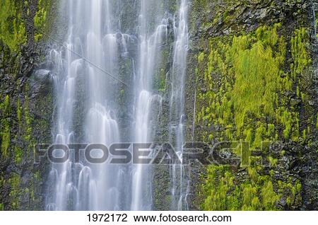 Hawaii, Maui, Haleakala National Park, Waimoku Falls, Amazing Close Up Of The Falls. View Large Photo Image Stock Image - Hawaii, Maui, Haleakala National Park, Waimoku Falls, Amazing Close Up Of The Falls.. Fotosearch