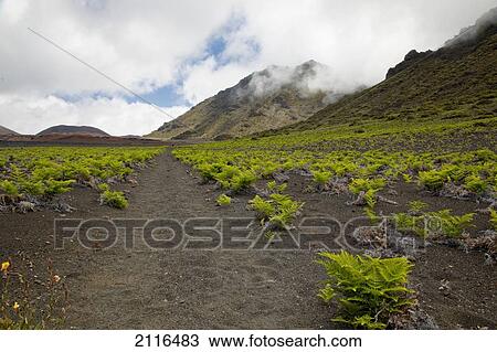 Stock Image - Hawaii, Maui, Haleakala, The hiking trail through the Volcanic Crater.. Fotosearch