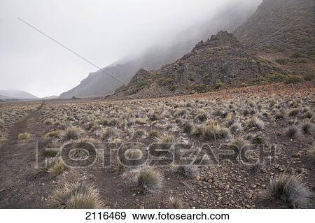 Hawaii, Maui, Haleakala, The hiking trail through the Volcanic Crater View Large Photo Image Stock Photo - Hawaii, Maui, Haleakala, The hiking trail through the Volcanic Crater. Fotosearch