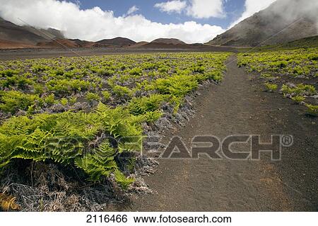Stock Photograph - Hawaii, Maui, Haleakala, The hiking trail through the Volcanic Crater.. Fotosearch