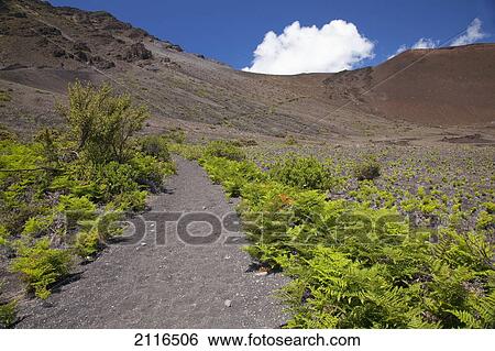 Stock Photograph - Hawaii, Maui, Haleakala, The hiking trail through the Volcanic Crater.. Fotosearch
