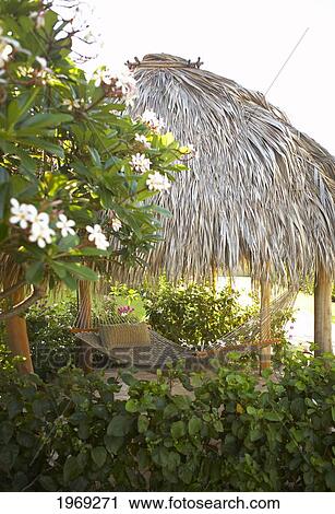 Stock Image - Hawaii, Maui, Hammock Hut.. Fotosearch