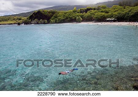 Stock Image - Hawaii, Maui, Hana, A Man Snorkels Among Clear Water In Hana.. Fotosearch