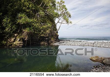 Hawaii, Maui, Hana, A remote blue pool near Nahiku. View Large Photo Image Picture - Hawaii, Maui, Hana, A remote blue pool near Nahiku.. Fotosearch