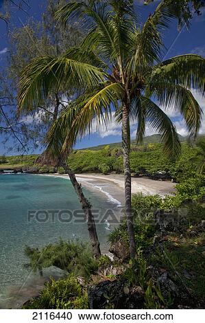 Stock Image - Hawaii, Maui, Hana, A sunny view of Hamoa Beach with clear ocean on a calm day.. Fotosearch