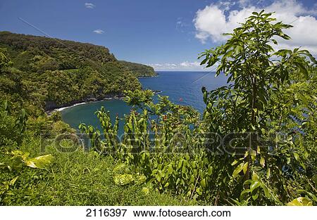 Stock Photo - Hawaii, Maui, Hana, A sunny view of Hana's lush coastline with blue sky.. Fotosearch
