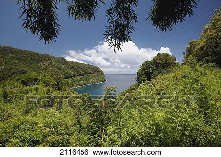 Hawaii, Maui, Hana, A sunny view of Hana's lush coastline with blue sky. View Large Photo Image Stock Photograph - Hawaii, Maui, Hana, A sunny view of Hana's lush coastline with blue sky.. Fotosearch
