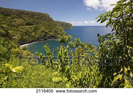 Stock Photography - Hawaii, Maui, Hana, A sunny view of Hana's lush coastline with blue sky.. Fotosearch