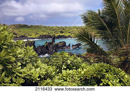 Hawaii, Maui, Hana, A view of the Waianapanapa Coast. View Large Photo Image Stock Image - Hawaii, Maui, Hana, A view of the Waianapanapa Coast.. Fotosearch