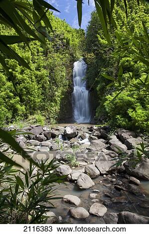 Stock Image - Hawaii, Maui, Hana, A waterfall surrounded by lush bamboo plants.. Fotosearch