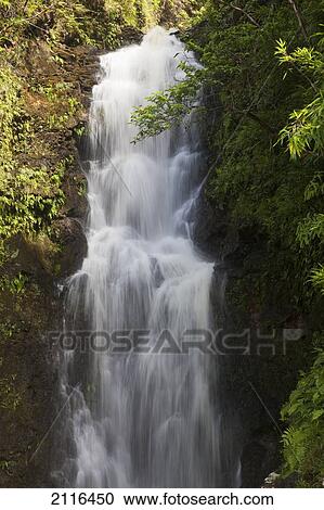 Stock Image - Hawaii, Maui, Hana, A waterfall surrounded by lush bamboo plants.. Fotosearch