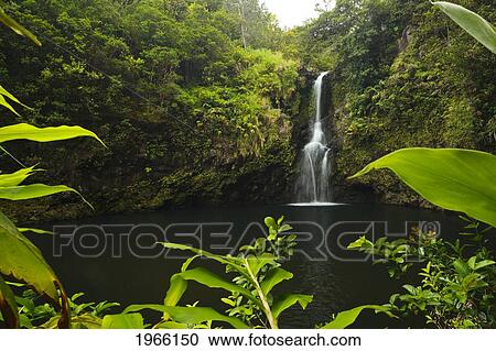 Stock Image - Hawaii, Maui, Hana, Beautiful Waterfall And Pool, Lush Greenery.. Fotosearch