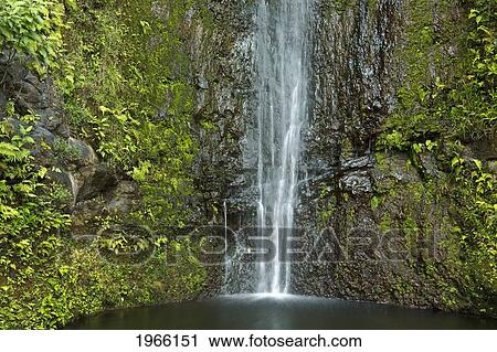 Stock Image - Hawaii, Maui, Hana, Beautiful Waterfall And Pool.. Fotosearch