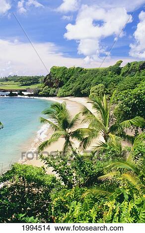 Hawaii, Maui, Hana Coast, Hamoa Beach On A Beautiful Clear Day. View Large Photo Image Picture - Hawaii, Maui, Hana Coast, Hamoa Beach On A Beautiful Clear Day.. Fotosearch