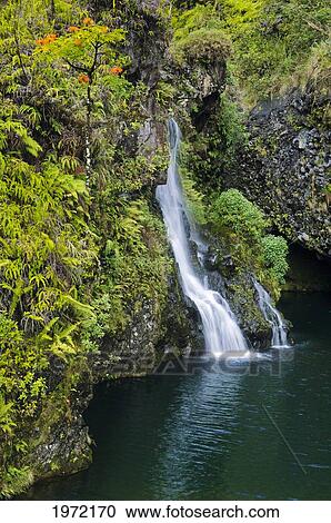 Stock Image - Hawaii, Maui, Hana Coast, Hanawi Falls, View Of Waterfall Flowing Into Pool Of Water.. Fotosearch
