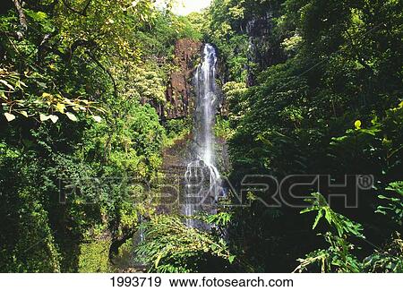 Stock Photo - Hawaii, Maui, Hana Coast, Waterfall Surrounded By Lush Greenery. Fotosearch