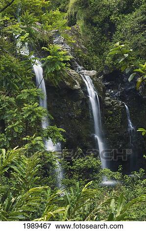 Stock Photo - Hawaii, Maui, Hana Coast, Waterfalls Along The Hana Highway.. Fotosearch