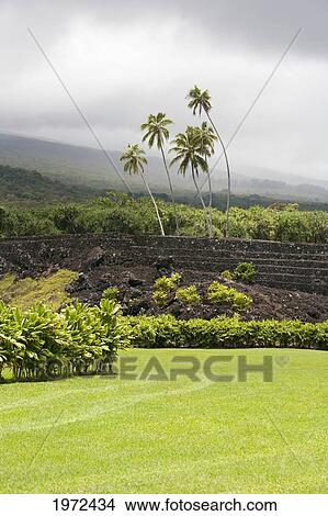 Picture - Hawaii, Maui, Hana, Kahanu Gardens And Pi'ilani Heiau.. Fotosearch
