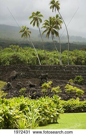 Stock Image - Hawaii, Maui, Hana, Kahanu Gardens And Pi'ilani Heiau.. Fotosearch