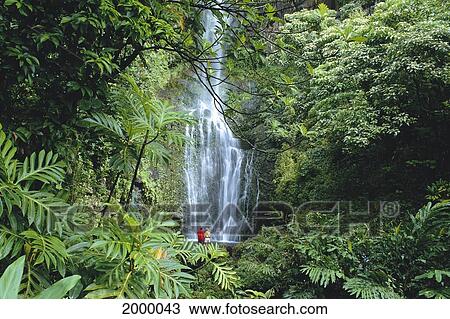 Stock Image - Hawaii, Maui, Hana, Kipahulu, Couple In Distance At Wailua Falls, Through Lush Greenery. Fotosearch
