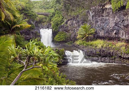 Hawaii, Maui, Hana, Seven Sacred Pools, a large stream and waterfalls. View Large Photo Image Stock Image - Hawaii, Maui, Hana, Seven Sacred Pools, a large stream and waterfalls.. Fotosearch