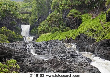 Hawaii, Maui, Hana, Seven Sacred Pools, a large stream and waterfalls. View Large Photo Image Stock Image - Hawaii, Maui, Hana, Seven Sacred Pools, a large stream and waterfalls.. Fotosearch