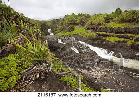 Hawaii, Maui, Hana, Seven Sacred Pools, a large stream and waterfalls. View Large Photo Image Stock Photo - Hawaii, Maui, Hana, Seven Sacred Pools, a large stream and waterfalls.. Fotosearch