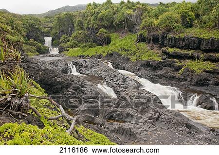 Hawaii, Maui, Hana, Seven Sacred Pools, a large stream and waterfalls. View Large Photo Image Stock Photograph - Hawaii, Maui, Hana, Seven Sacred Pools, a large stream and waterfalls.. Fotosearch